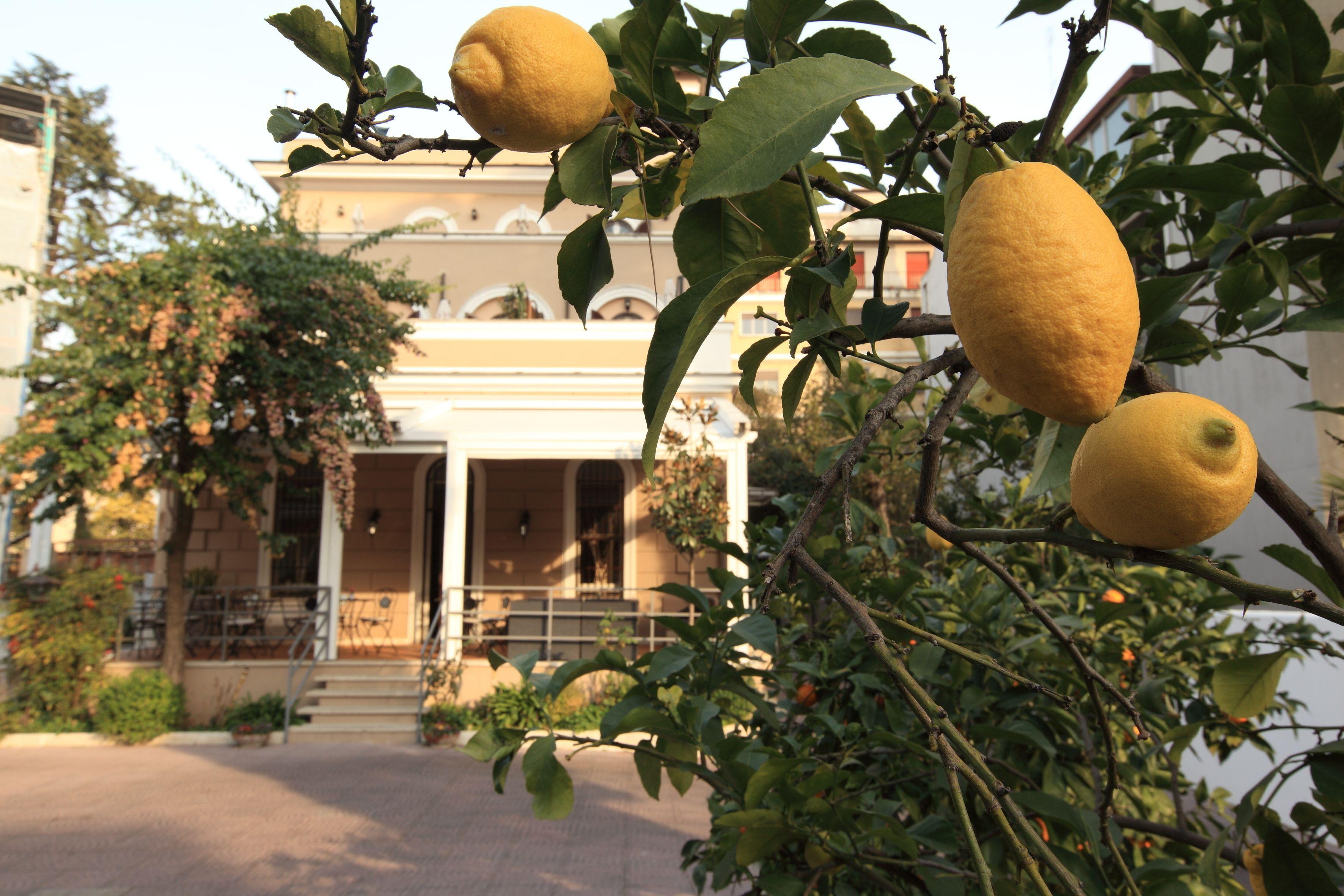 Villa Pirandello — Photos 1